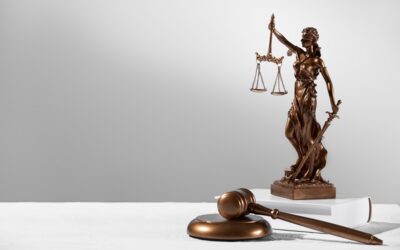 Юристы в Зеленограде — надежная правовая поддержка